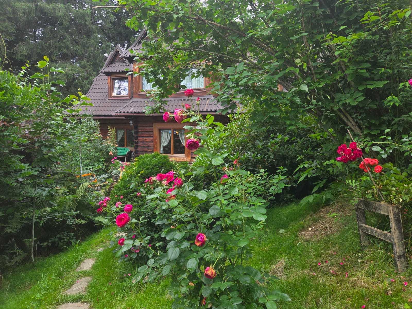 Hostel garden in summer